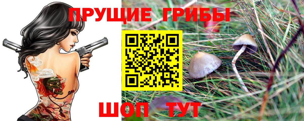 Галлюциногенные грибы GOLDEN TEACHER Барнаул
