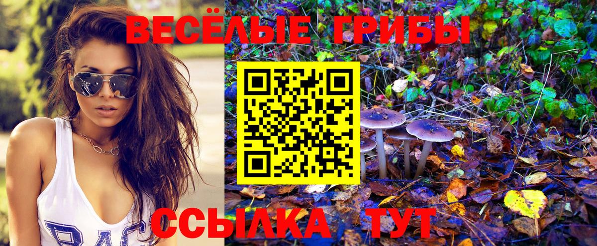 МДМА  A PVP СОЛЬ кристаллы  Вход с VPN  Cocaine  Гашиш  Барнаул  Меф   Канабис 