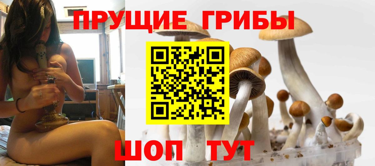 Галлюциногенные грибы мицелий  Вход с VPN  Барнаул 